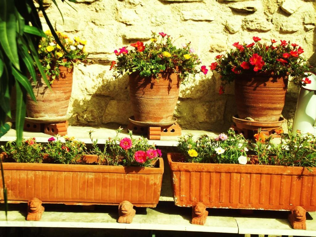 La Maison Aux Volets Bleus Bed & Breakfast Venasque Dış mekan fotoğraf